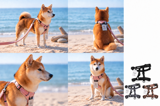 TOMURAH 工字犬用ハーネス 海辺の着用イメージ4カットとブラック・グレー・カーキの商品図